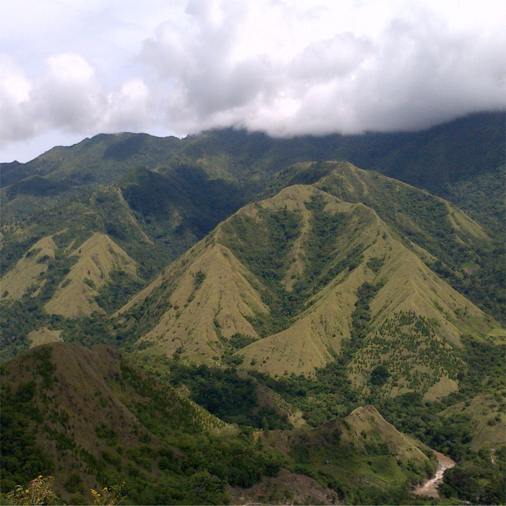 Toraja Hills